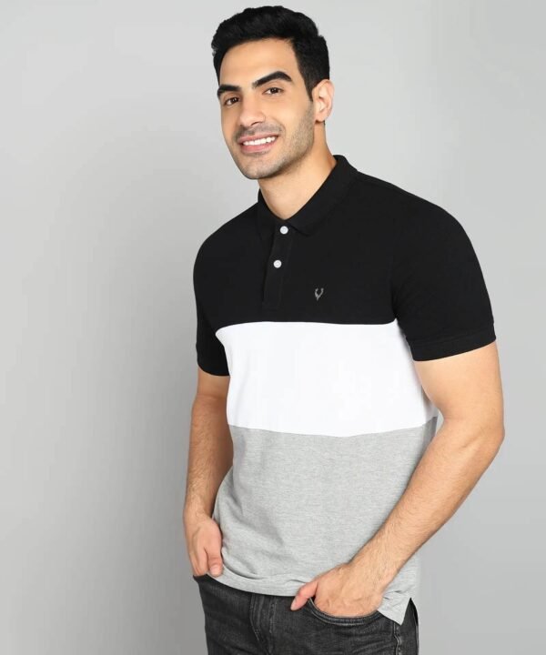 Allen Solly Men Colorblock Polo T-Shirt